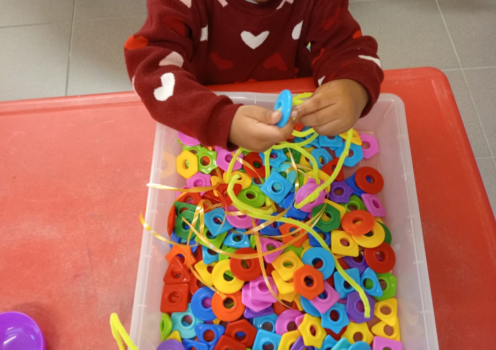 whatsapp image 2024-02-16 a 10.18.40_0681a37f